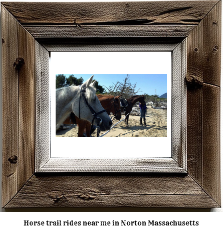 horse trail rides near me in Norton, Massachusetts